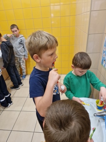 ząbek (6)