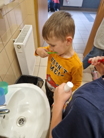 ząbek (11)