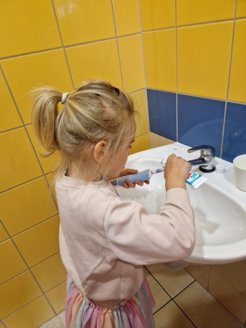 ząbek (19)