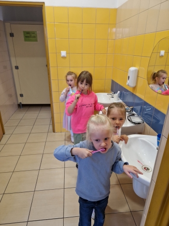 ząbek (22)