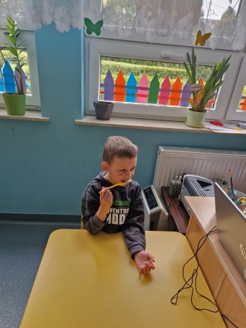 ząbek (26)