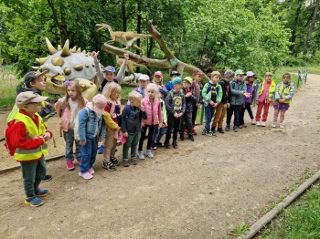 Kołacinek (1)