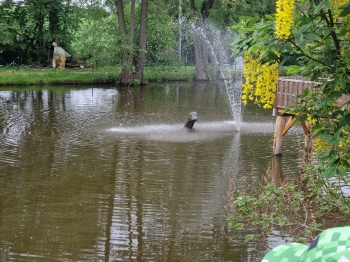 Kołacinek (7)