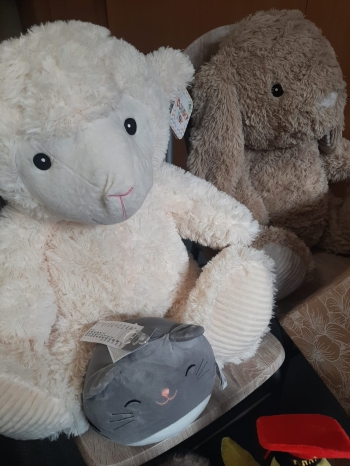 Zdjęcie WhatsApp 2025-11-15 o 17.43.49_6563eb0e