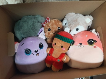 Zdjęcie WhatsApp 2025-11-15 o 17.43.49_011102d2