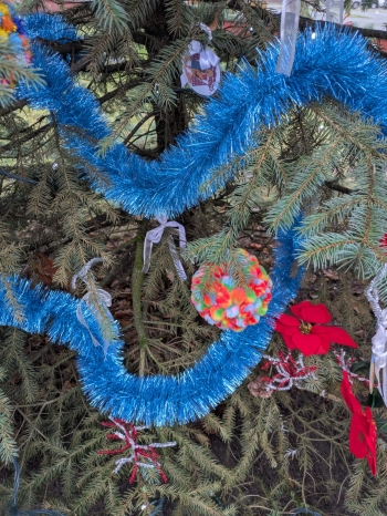 motion_photo_3946351048338012059