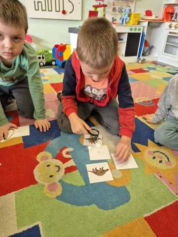 Dzień Dinozaura02.jpeg