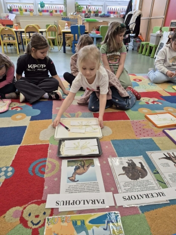 Dzień Dinozaura01.jpeg