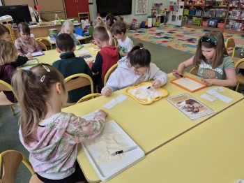 Dzień Dinozaura27.jpeg