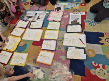 Dzień Dinozaura32.jpeg