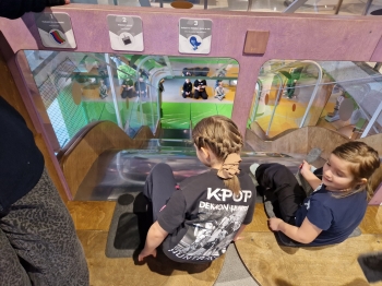 Wycieczka EC1 1 (67)