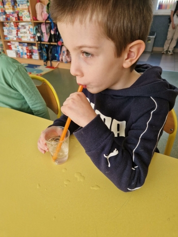 logopedyczne zabawy2 (17).jpeg