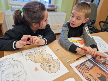 biblioteka (11).jpeg