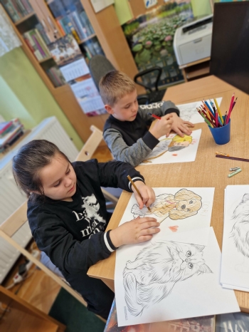 biblioteka (12).jpeg