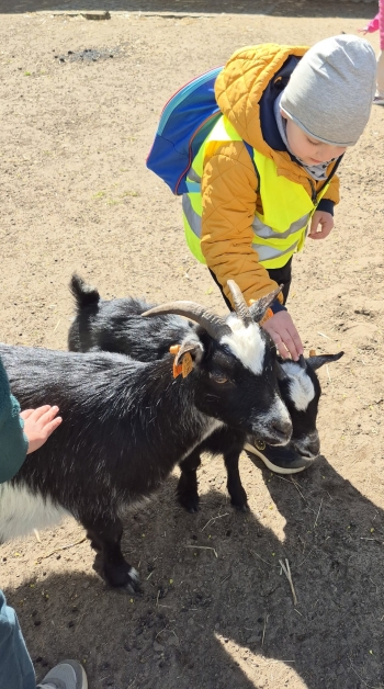 Wycieczka ZOO (45).jpeg