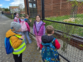 Wycieczka ZOO (53).jpeg