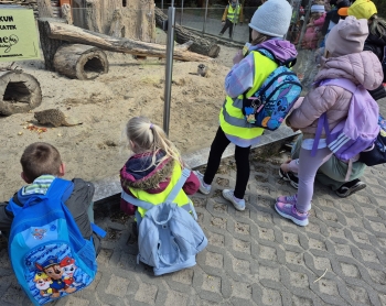 Wycieczka ZOO (23).jpeg
