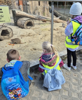 Wycieczka ZOO (27).jpeg