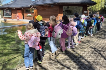 Wycieczka ZOO (28).jpeg