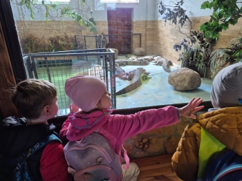 Wycieczka ZOO (29).jpeg