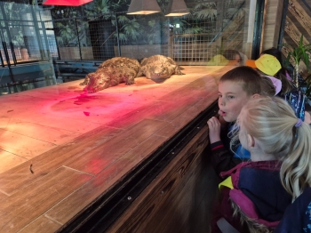 Wycieczka ZOO (30).jpeg