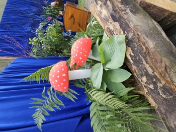 Dzień Radości (16)