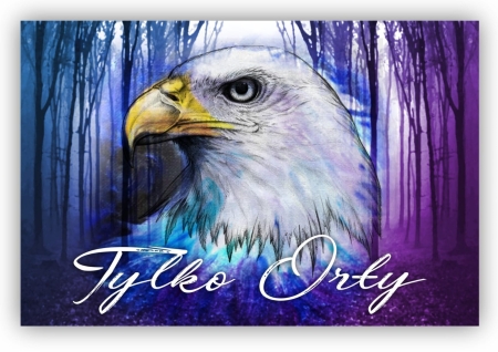 X edycja Międzyszkolnego Konkursu 'Tylko Orły'